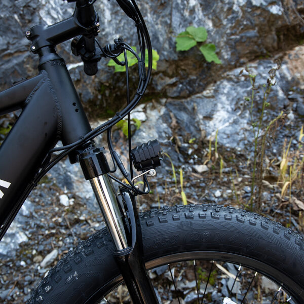 26x4 Fat Tire Electric Mountain Bike 1000W 48V for Adults