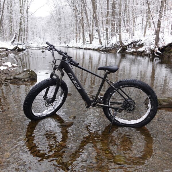 26x4 Fat Tire Electric Mountain Bike 1000W 48V for Adults