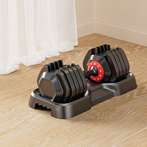 10-in-1 Adjustable Dumbbell Set 55LB for Home Full Body Workout