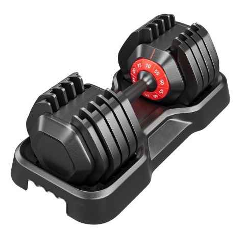 10-in-1 Adjustable Dumbbell Set 55LB for Home Full Body Workout