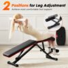 Adjustable Foldable Weight Bench for Full Body Workout