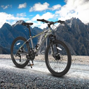 24" Kids Mountain Bike with 21-Speed Shimano and Dual Disc Brakes
