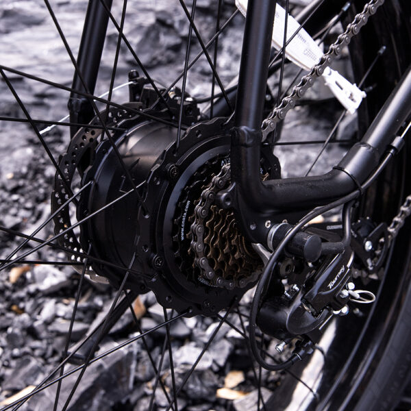 26x4 Fat Tire Electric Mountain Bike 1000W 48V for Adults