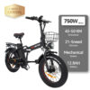 Fashion Simple Electric Bicycle
