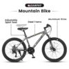 24" Kids Mountain Bike with 21-Speed Shimano and Dual Disc Brakes
