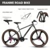 A27301M Ecarpat 27.5" Mountain Bike with 21-Speed and Dual Disc Brakes