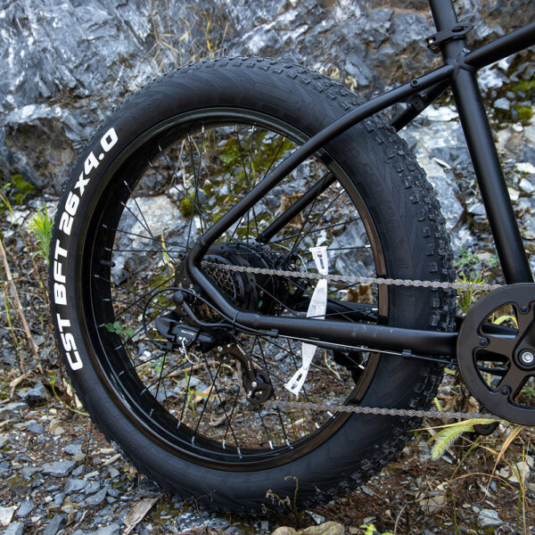 26x4 Fat Tire Electric Mountain Bike 1000W 48V for Adults