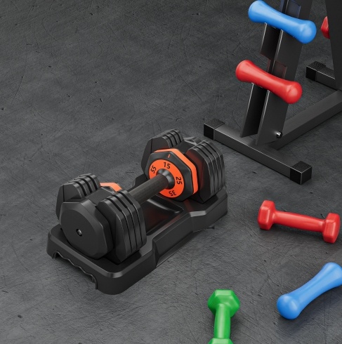 10-in-1 Adjustable Dumbbell Set 55LB for Home Full Body Workout