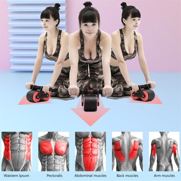 Double Wheel Ab Roller with Automatic Rebound – Core Trainer for Home & Gym Workout