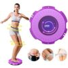 Magnetic Fitness Twisting Disc