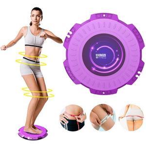 Magnetic Fitness Twisting Disc