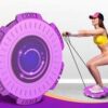 Magnetic Fitness Twisting Disc