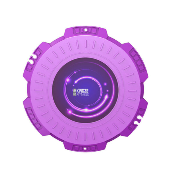 Magnetic Fitness Twisting Disc