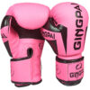 Training Boxing Gloves