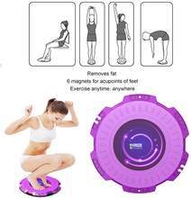 Magnetic Fitness Twisting Disc