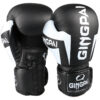 Training Boxing Gloves