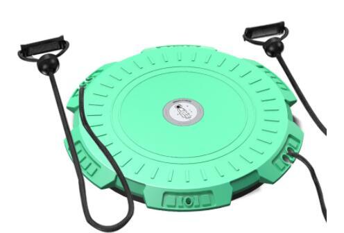 Magnetic Fitness Twisting Disc