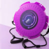 Magnetic Fitness Twisting Disc