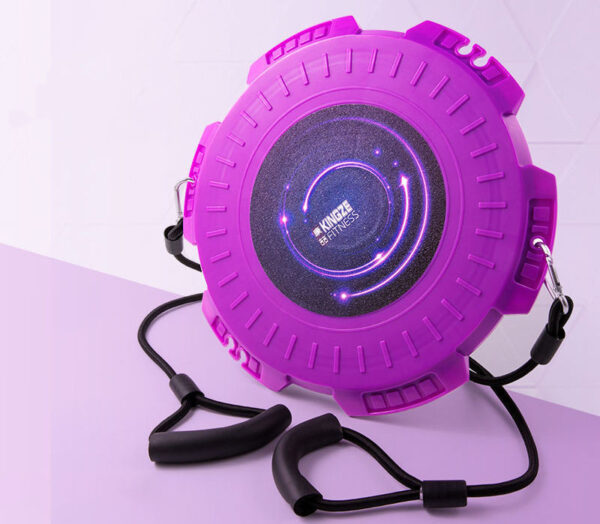 Magnetic Fitness Twisting Disc